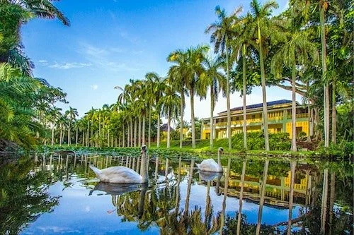 Coral Springs Thumbnail