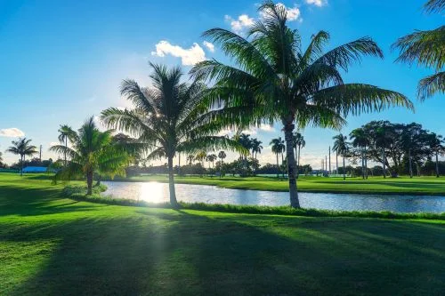 Plantation Thumbnail